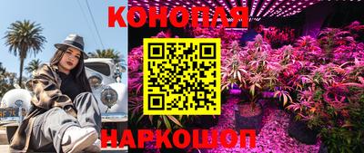 стафф Гусиноозёрск