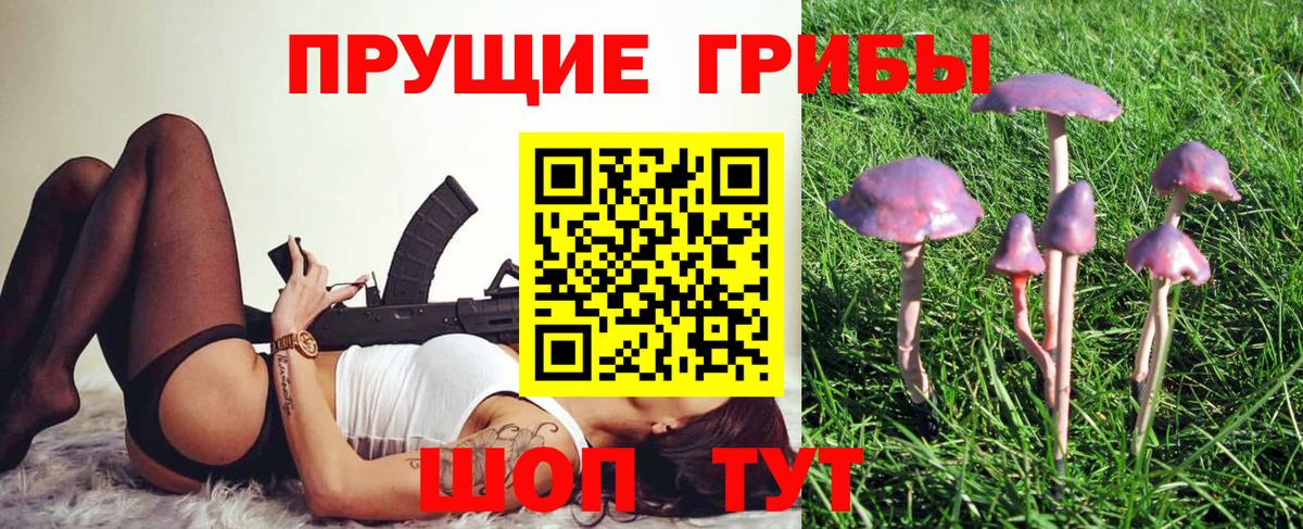 Псилоцибиновые грибы прущие грибы Лесосибирск